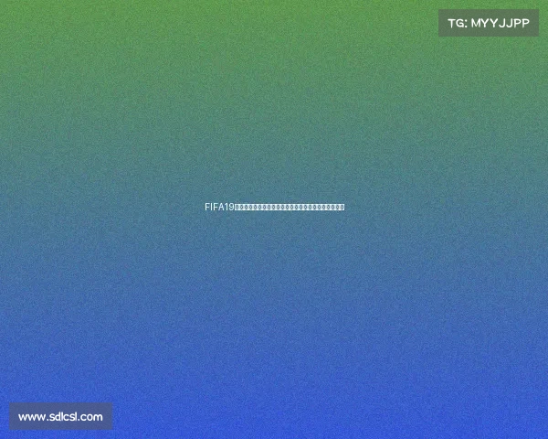 FIFA19中美国队能否参加世界杯全面解析与规则机制说明解读